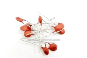 Ceramic Capacitor 100pF Package 10pcs